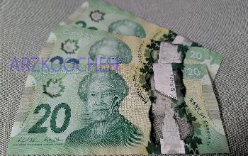 Canadian Dollar Exchange Rate: Fluctuations in Iran’s Currency Market